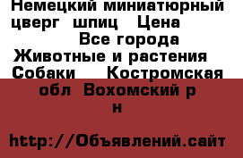 Немецкий миниатюрный(цверг) шпиц › Цена ­ 50 000 - Все города Животные и растения » Собаки   . Костромская обл.,Вохомский р-н